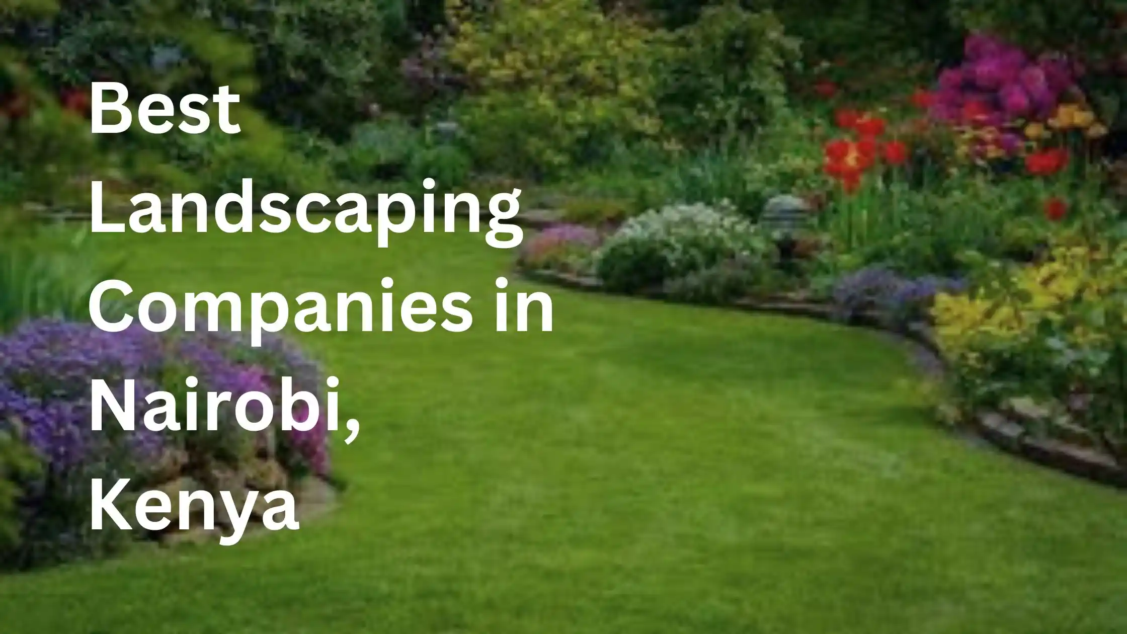 Best Landscaping Companies in Nairobi, Kenya