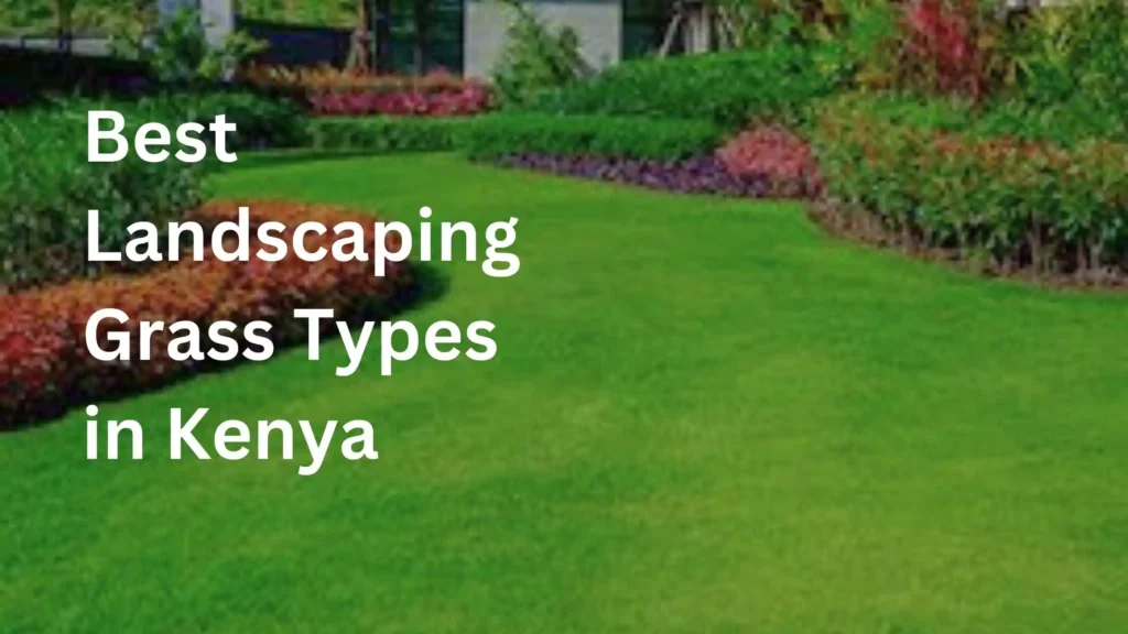 Kenya Landscapers Blog Banner