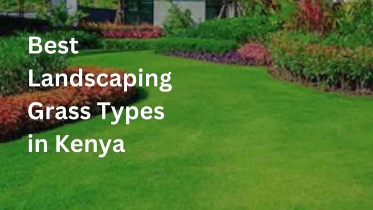 Kenya Landscapers Blog Banner